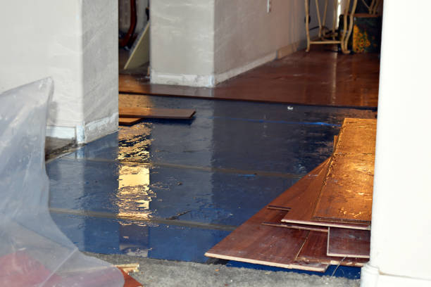 Professional Water Extraction technician working in Carsonville, MI